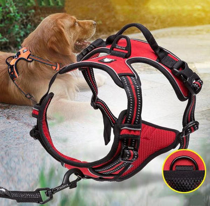 Harnais confortable pour chien, on démontre sur cette photo la conception du harnais, les deux points d'attache e aussi le matériel réfléchissant avec un chien couche au sol qui porte le harnais
