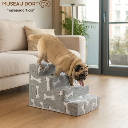 Escalier pour chien permettant une descente sécurisée du canapé, idéal pour chien senior et articulations sensibles – Museau Dort