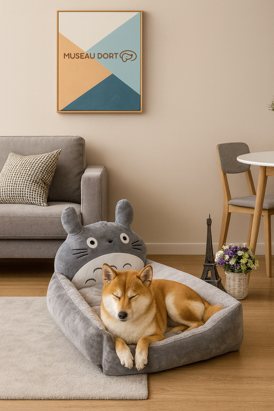 Shiba inu endormi dans un lit pour chien Totoro gris, placé dans un salon moderne français avec le logo Museau Dort au mur – Disponible chez Museau Dort.