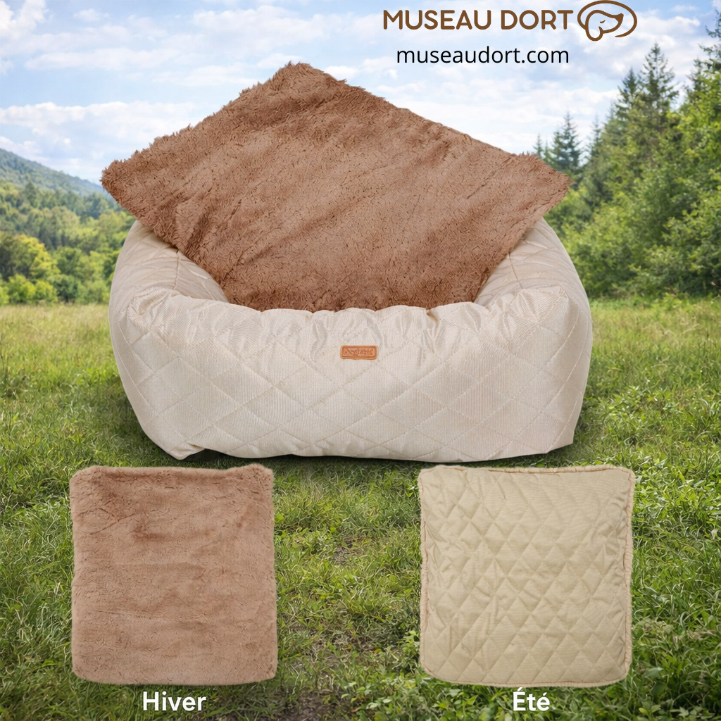 Siège d’auto pour chien avec coussin réversible hiver et été, surface douce ou respirante selon la saison, Museau Dort