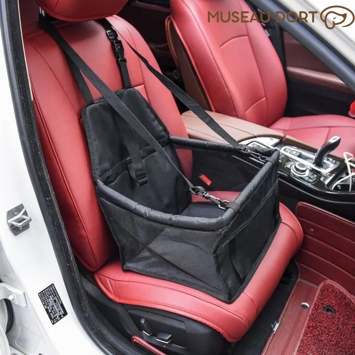 Siège auto noir pour chien installé sur siège passager d’une voiture, sécurité et confort – Disponible chez Museau Dort