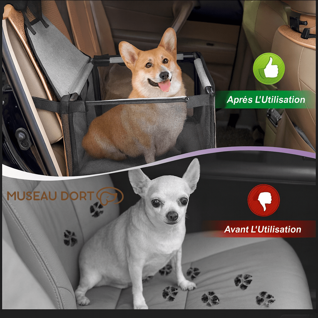 Comparatif avant et après l’utilisation d’un siège auto pour chien – protection des sièges et confort amélioré – Museau Dort