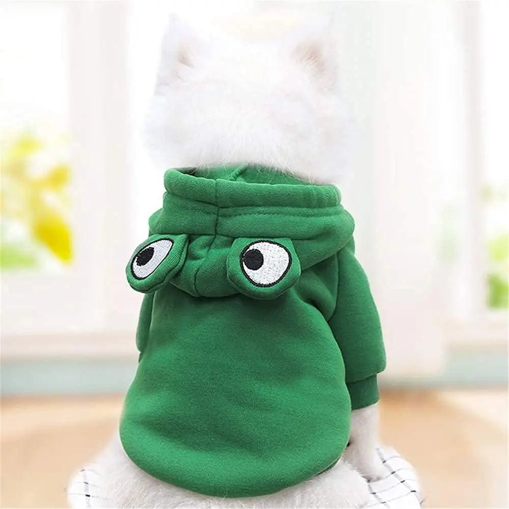 Vue de dos d’un petit chien avec sweat à capuche grenouille vert doux et confortable