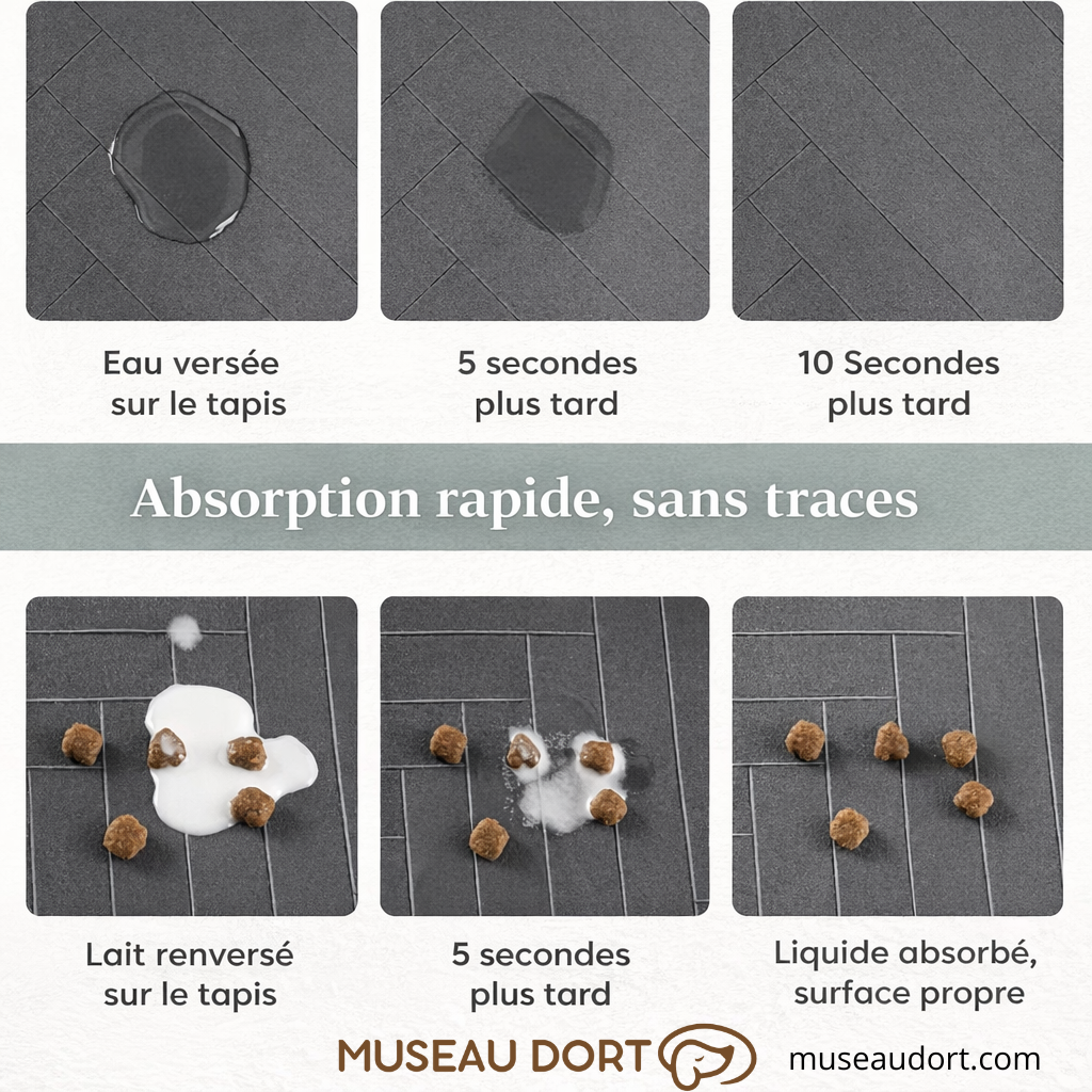 Test absorption tapis gamelle chien montrant eau et lait absorbés en quelques secondes sans traces sur la surface, Museau Dort