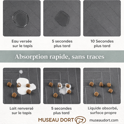 Test absorption tapis gamelle chien montrant eau et lait absorbés en quelques secondes sans traces sur la surface, Museau Dort