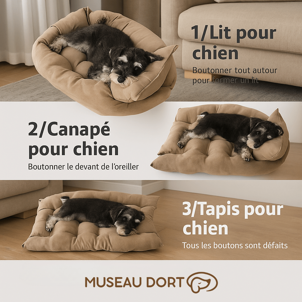 Tapis pour Chien – Le Confort Douillet qu’il Mérite - Museau dort