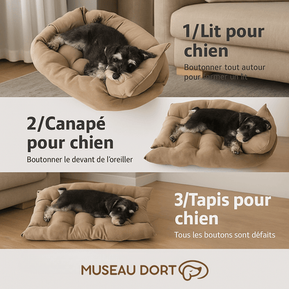 Tapis pour Chien – Le Confort Douillet qu’il Mérite - Museau dort