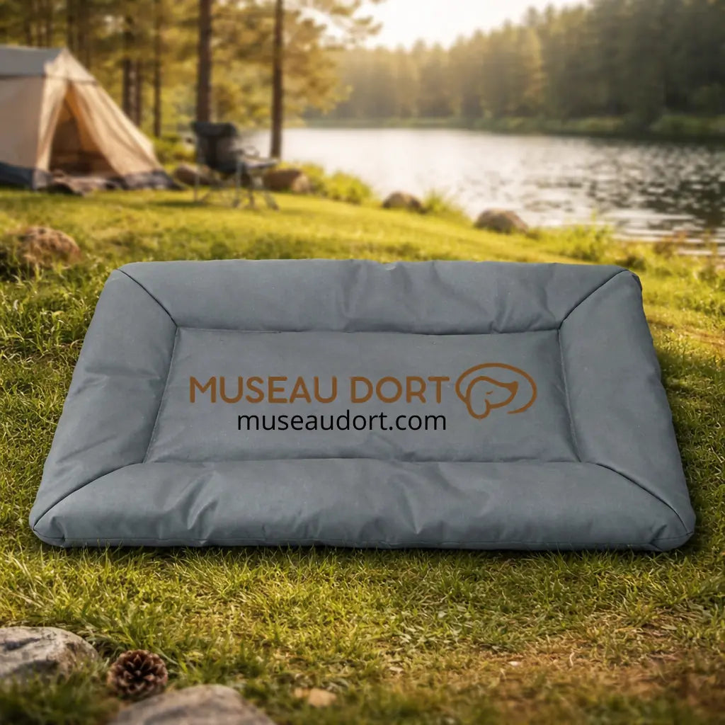 tapis de voyage pour chien gris camping extérieur Museau Dort