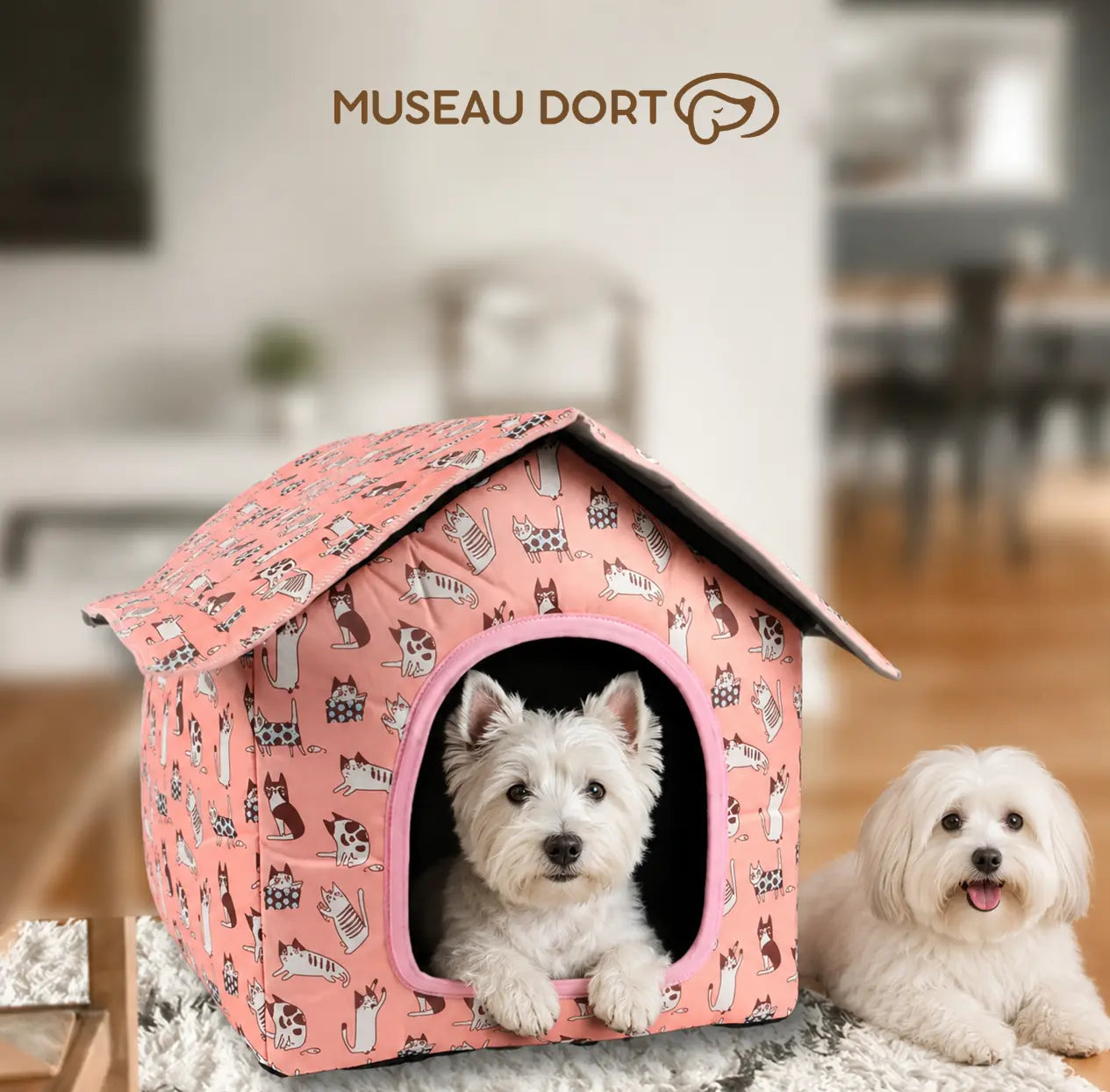 Westie dans une maison pour chien rose à motifs chats, avec un bichon havanais couché à côté dans un salon.