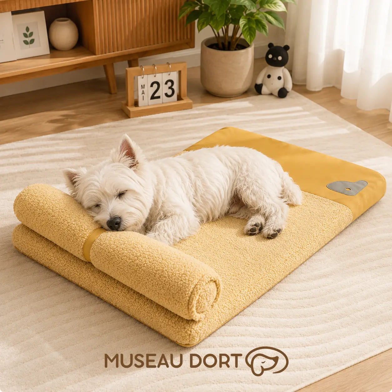 Westie endormi sur un coussin jaune avec traversin, dans un salon lumineux, pour le repos du petit chien âgé.